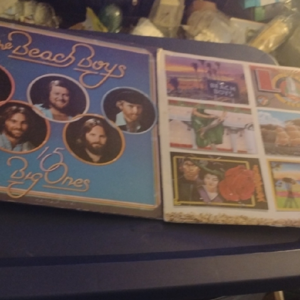 The Beach Boys Vinyl Record Set